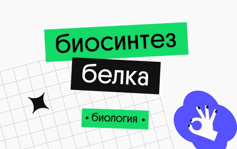 Банер курса Биосинтез белка