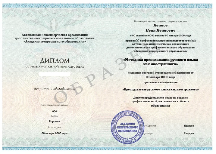 Методика преподавания русского языка как иностранного
