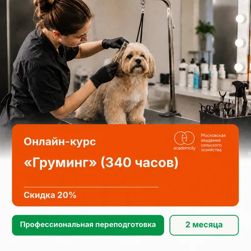 Онлайн-курс «Груминг» (340 часов)