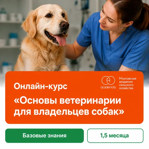 Онлайн-курс «Основы ветеринарии для владельцев собак»