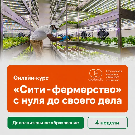 Онлайн-курс «Сити-фермерство» с нуля до своего дела