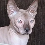 Юлия Ш.