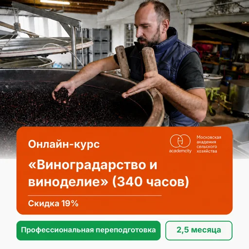 Онлайн-курс «Виноградарство и виноделие» (340 часов)