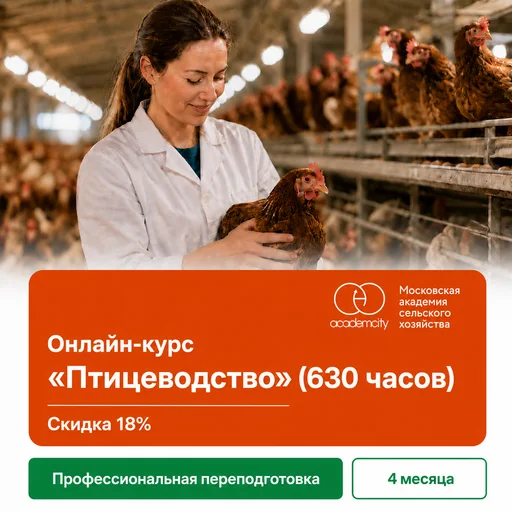 Онлайн-курс «Птицеводство» (630 часов)
