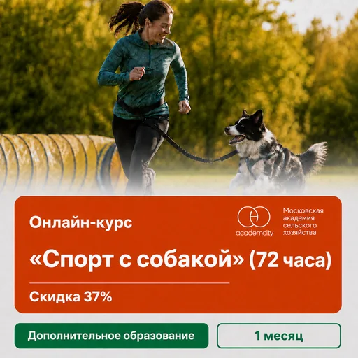 Онлайн-курс «Спорт с собакой» (72 часа)